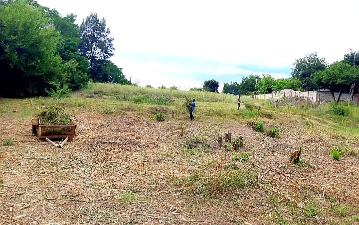 0 Bedroom Property for Sale in Viljoenskroon Rural Free State